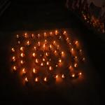 Vraj-Yatra-2014- (2592)